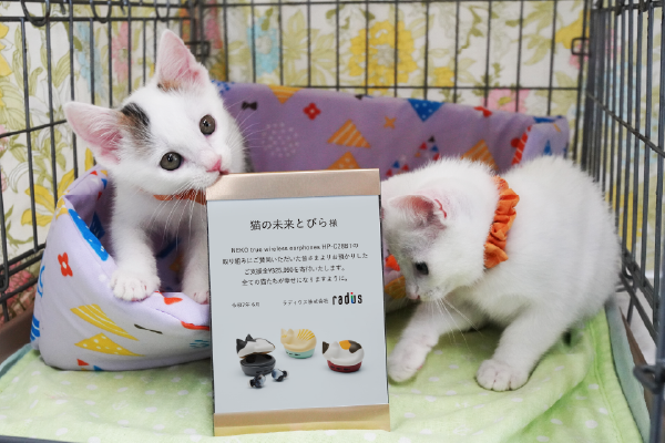 その他の活動紹介-写真①