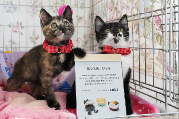 その他の活動紹介-写真②