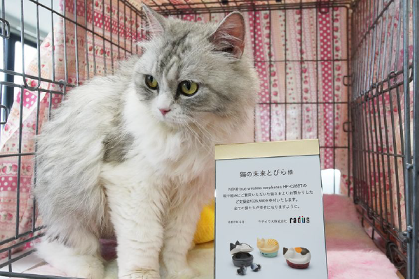 その他の活動紹介-写真③